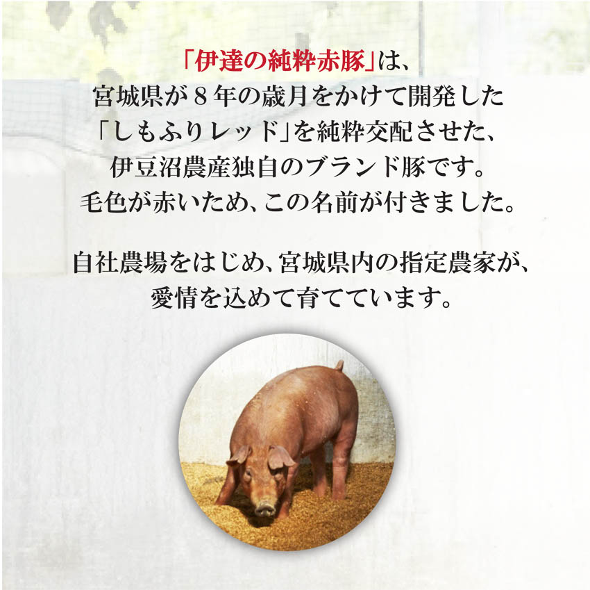 「伊達の純粋赤豚」は、宮城県が８年の歳月をかけて開発した「しもふりレッド」を純粋交配させた、伊豆沼農産独自のブランド豚です。宮城県内の指定農家が、愛情を込めて育てています。