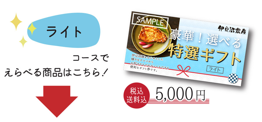 えらべるギフトライトLP2