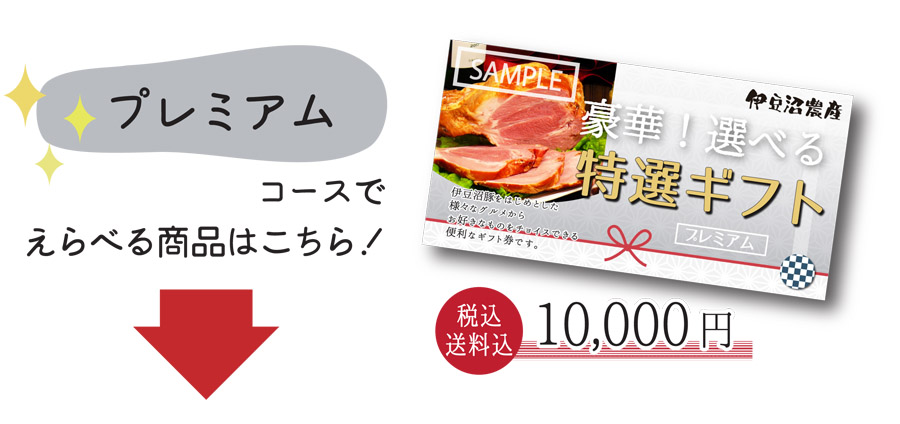 えらべるギフトプレミアムLP2