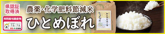 農薬・化学肥料節減米ひとめぼれ