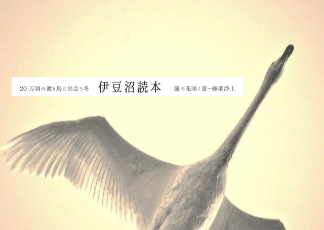 画像：「伊豆沼読本」表紙