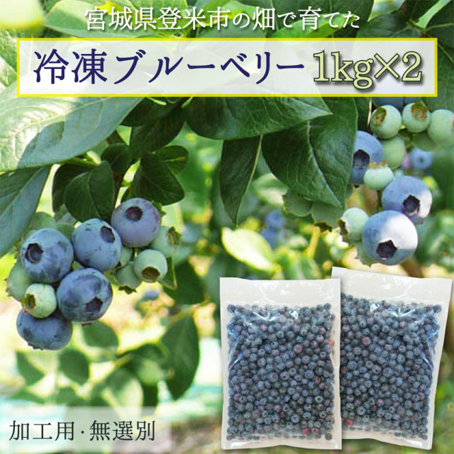 無選別 冷凍ブルーベリー 2kg