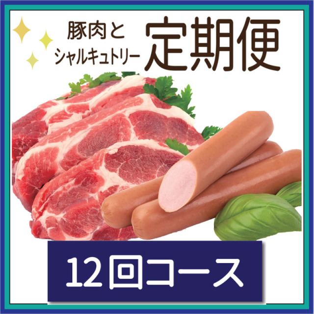 定期便12main_sq