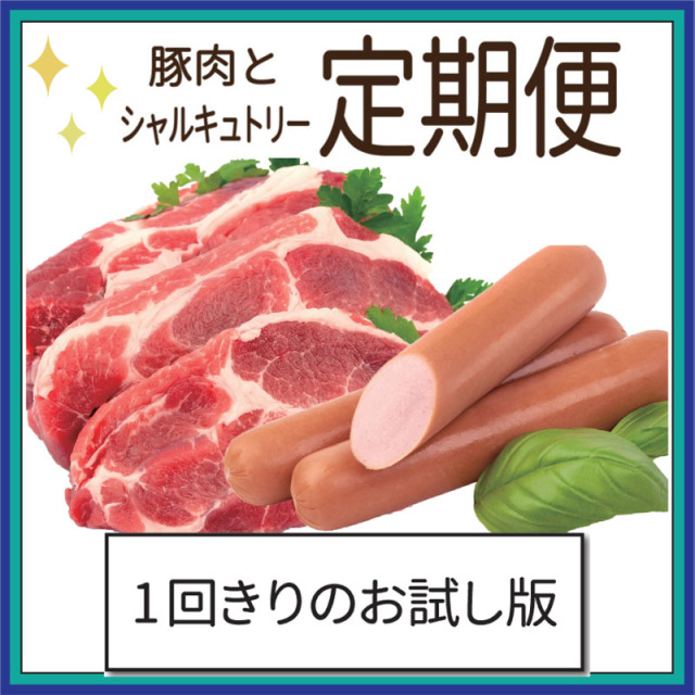 定期便1main_sq
