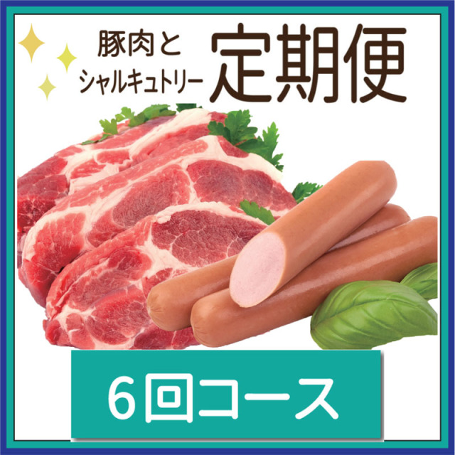 定期便6main_sq