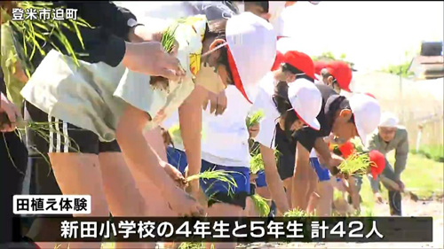 画像：【 TBC NEWS DIG 】「ムニャムニャしてる」ふゆみずたんぼで児童が手植えの田植え　宮城・登米市