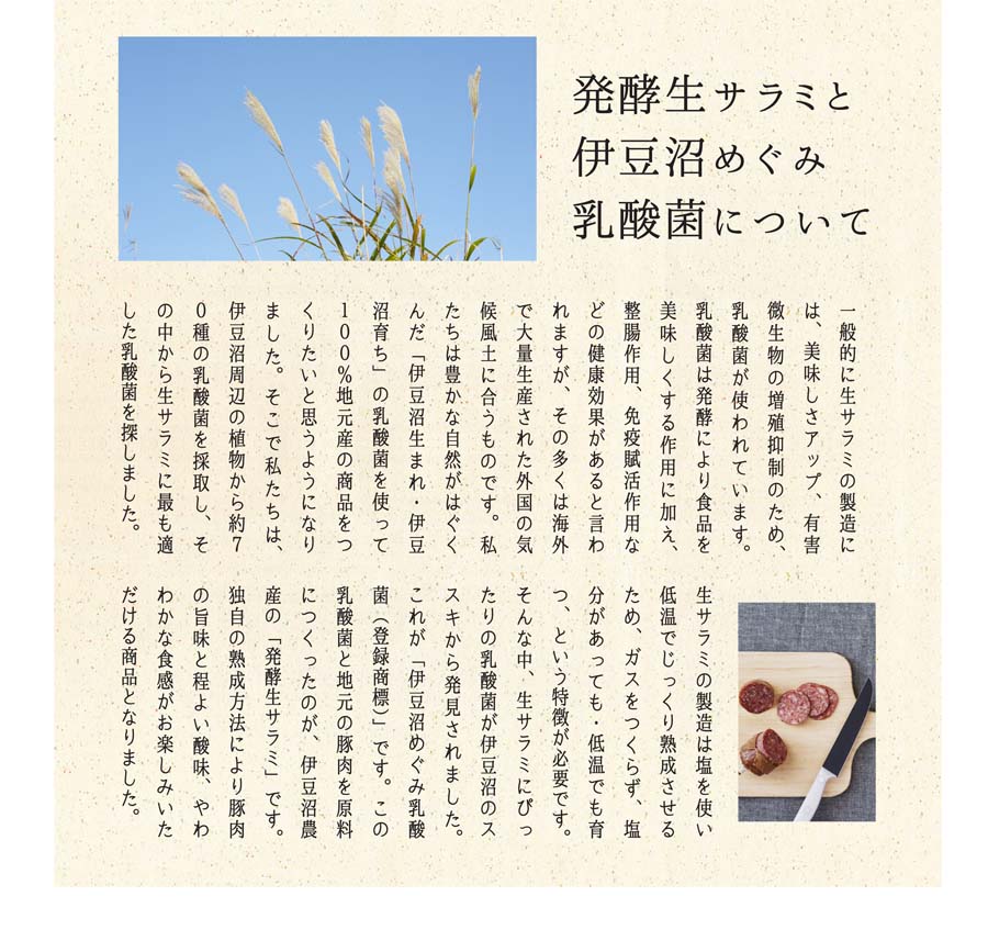 おつまみセット_LP_d(5)