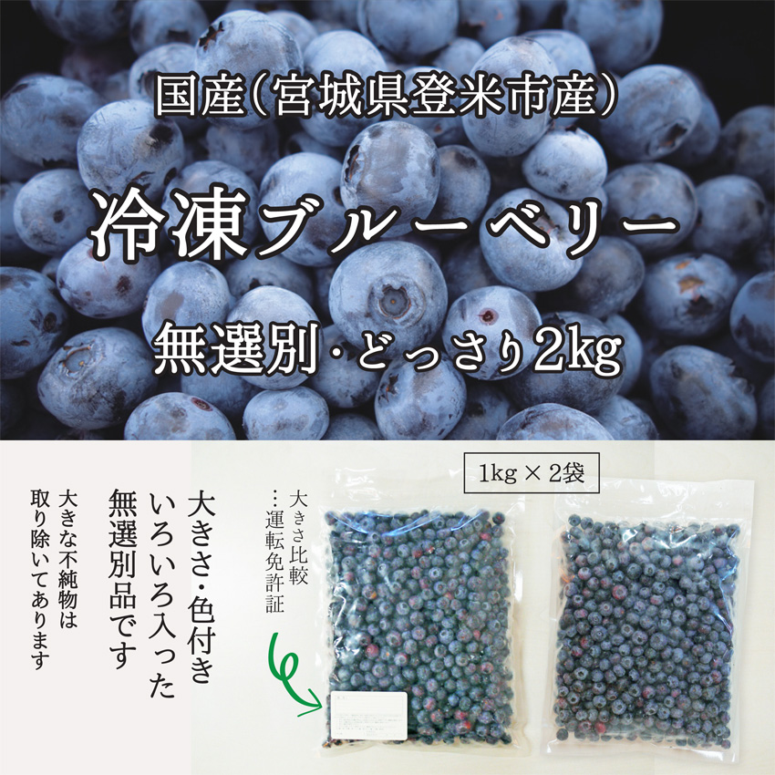 ２kg（1kg×2袋）　送料無料】訳あり・冷凍ブルーベリー　無選別