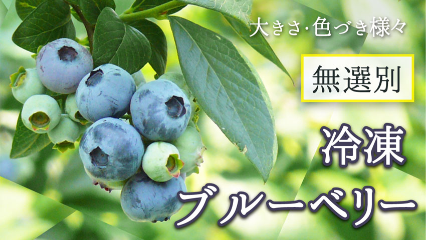おうちで手づくりウィンナーキットはひるおび！ヒルナンデス！などでご紹介いただきました！