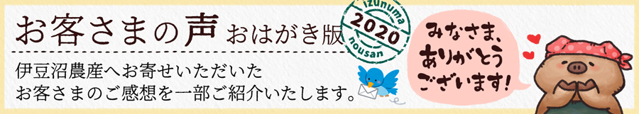 お客さまの声 おはがき版 2020