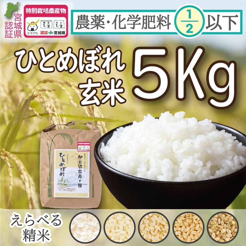 令和5年度産　農薬・化学肥料節減米（宮城県認証）登米市産ひとめぼれ玄米5Kg【冷凍不可】（ご希望の方：精米サービス有！）