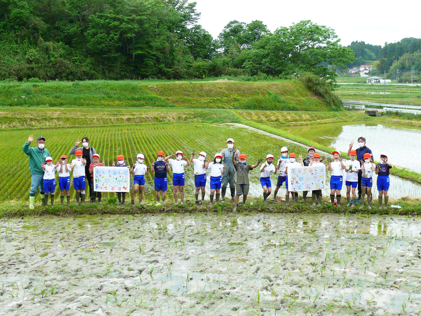 田植え