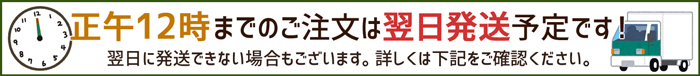 翌日発送について